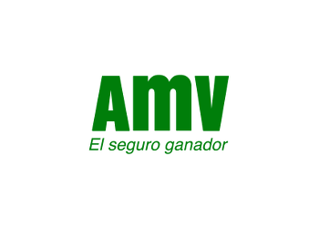 logo-amv-hosting