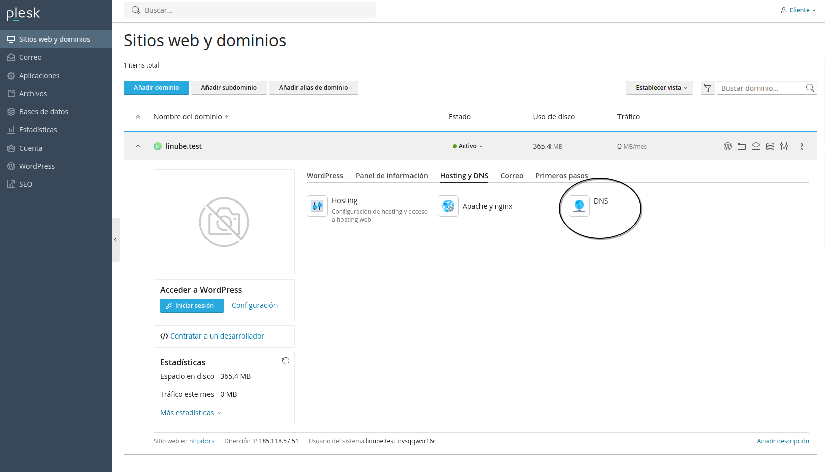 Configurar DNS desde Plesk
