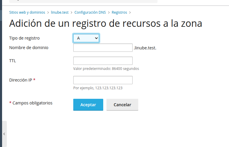 Añadir nuevos registros DNS en Plesk