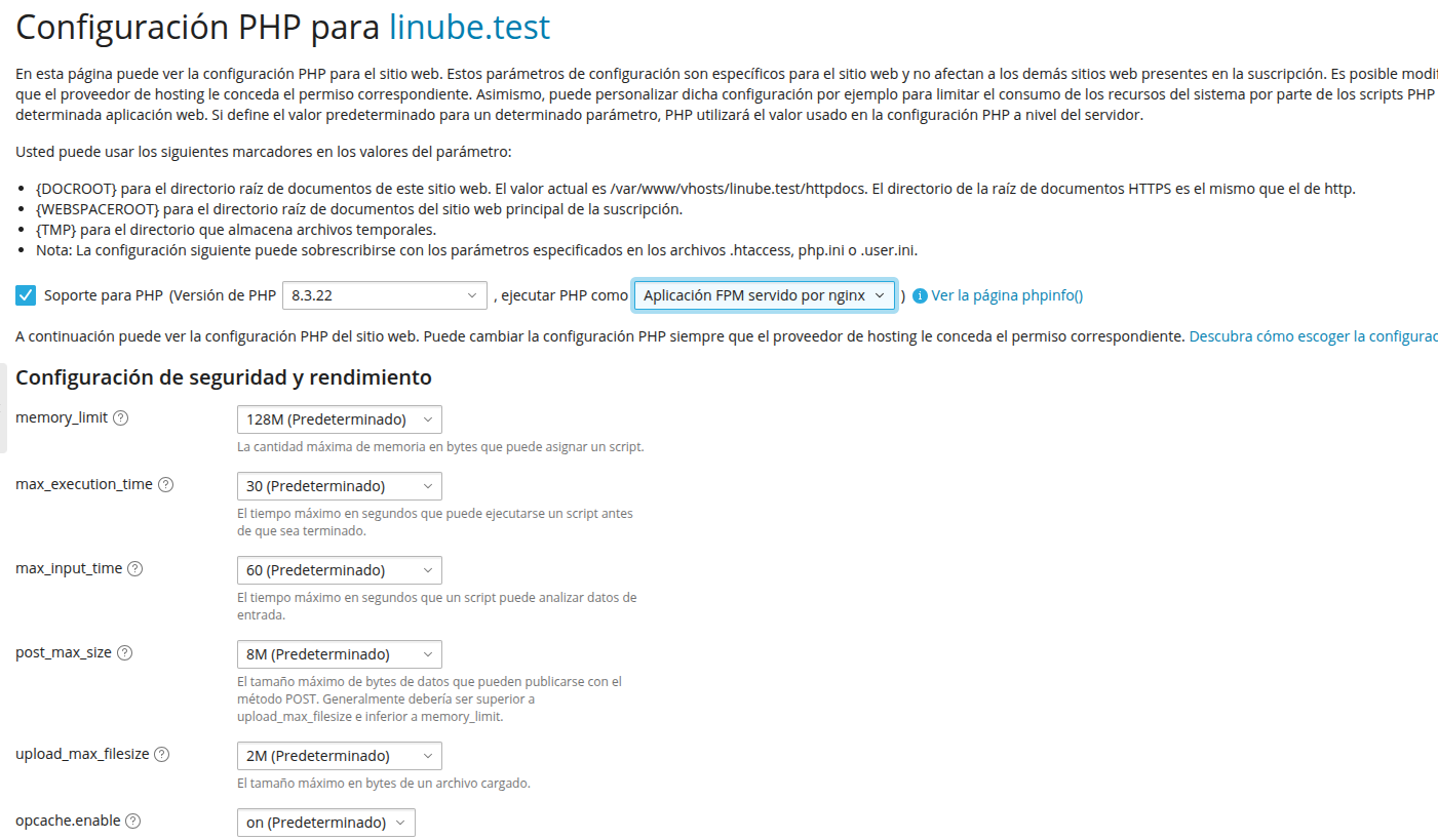 activa las opciones de Nginx para optimizar WordPress en Plesk
