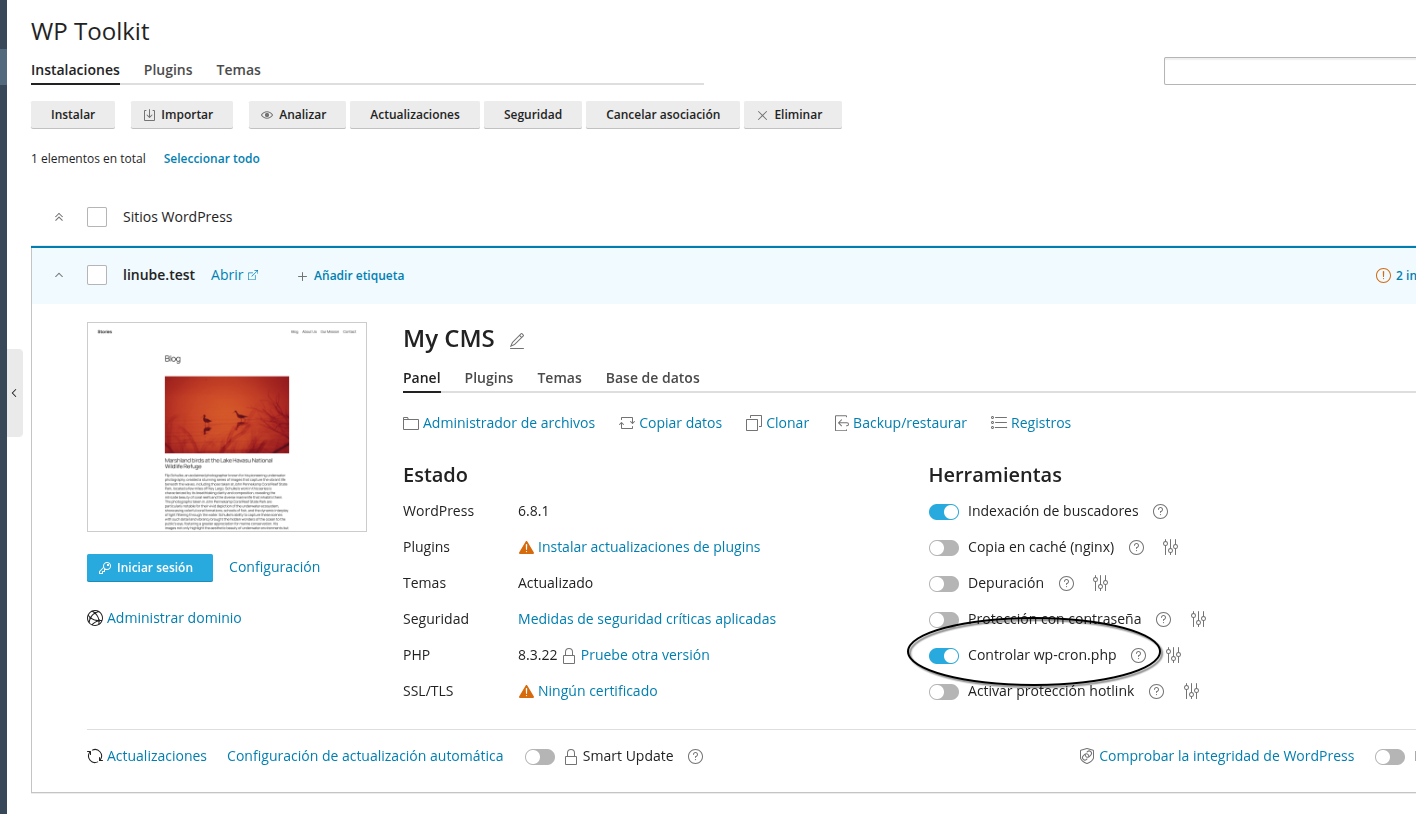 Desactivar wp-cron.php en la suscripción Plesk